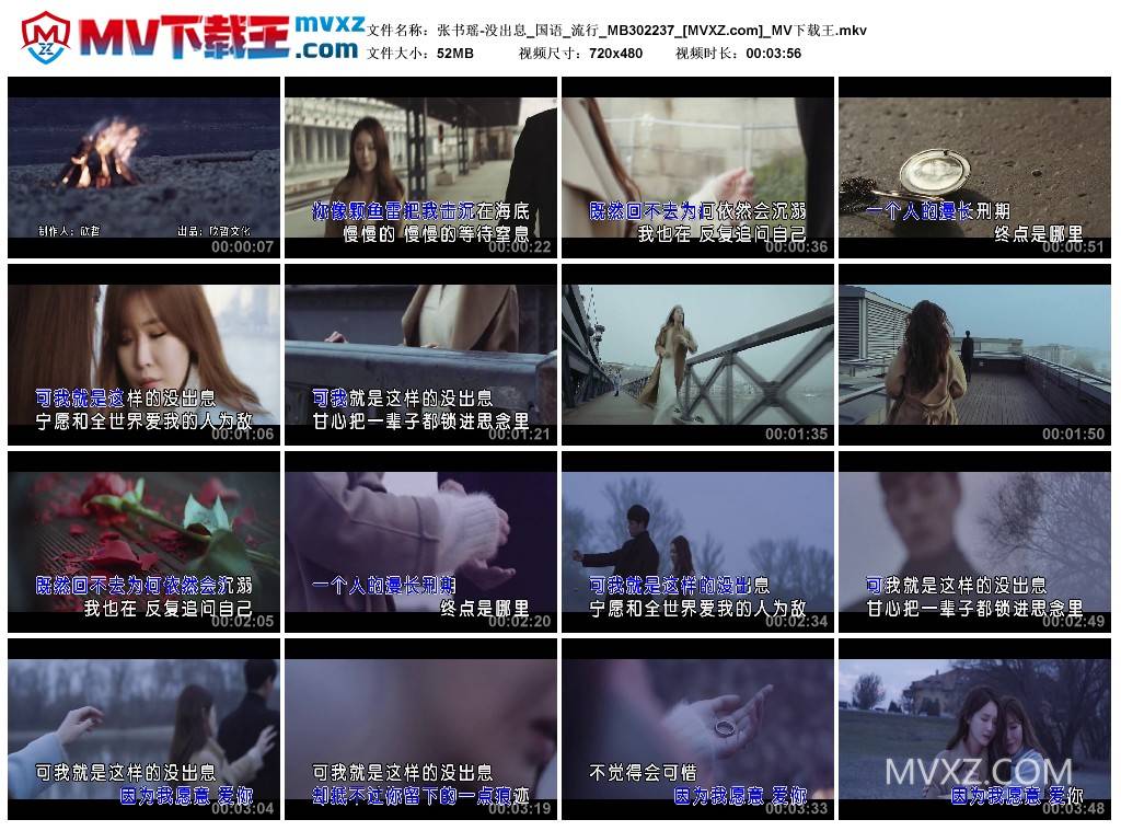 张书瑶-没出息_国语_流行_MB302237